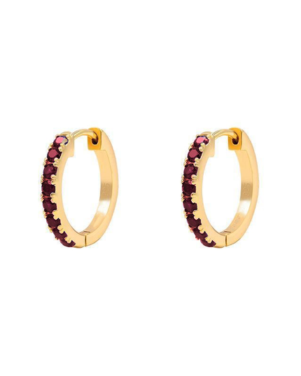 Petit Comité Oorbellen Geboortesteen Januari Granaat Hoops