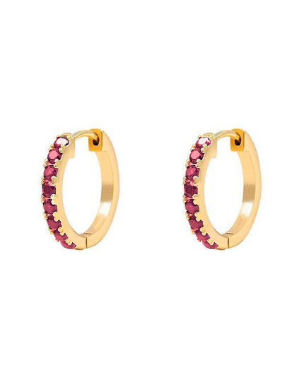 Petit Comité Oorbellen Geboortesteen Juli Robijn Hoops