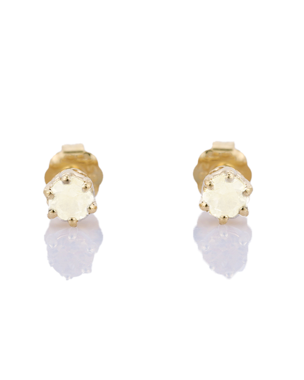 Petit Comité Oorknopjes Geboortesteen Juni Maansteen