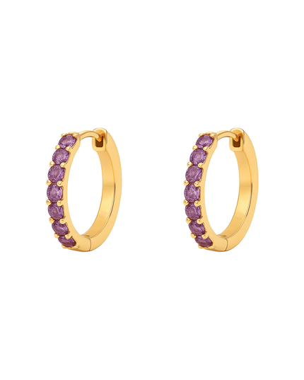 Petit Comité Oorbellen Geboortesteen Februari Amethist Hoops