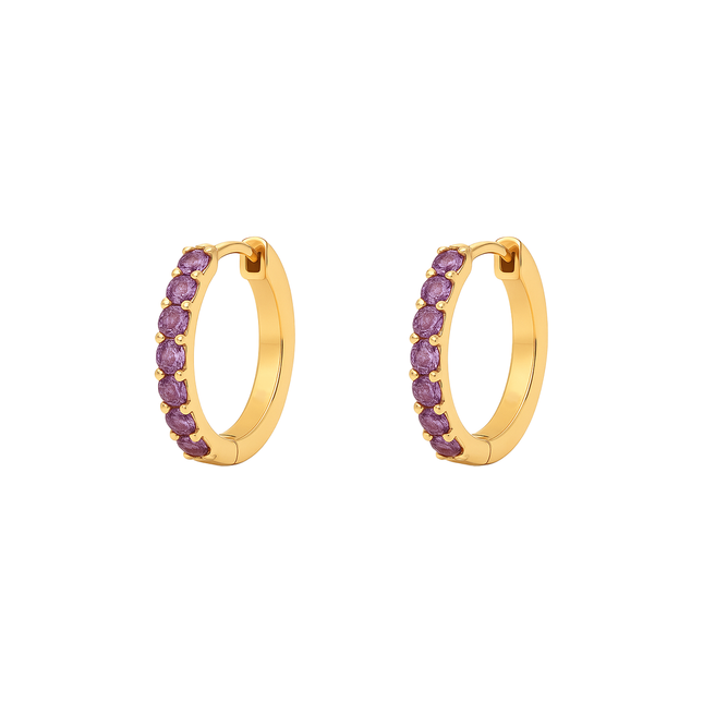 Petit Comité Oorbellen Geboortesteen Februari Amethist Hoops