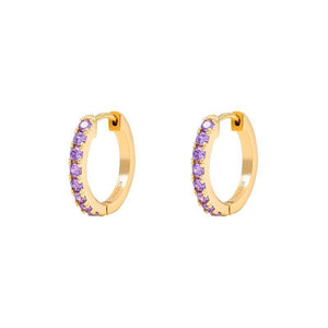 Petit Comité Oorbellen Geboortesteen Februari Amethist Hoops