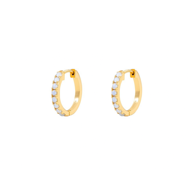 Petit Comité Oorbellen Geboortesteen Juni Maansteen Hoops