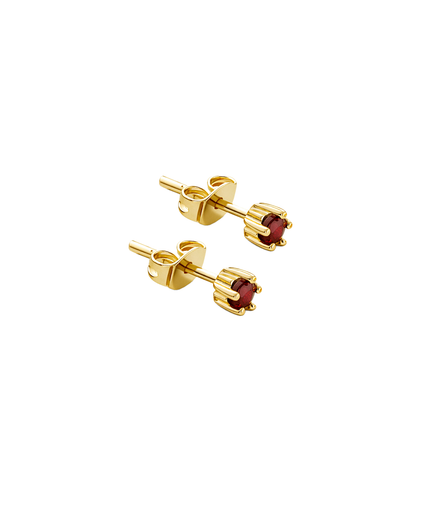 Petit Comité Oorknopjes Geboortesteen Februari Amethist