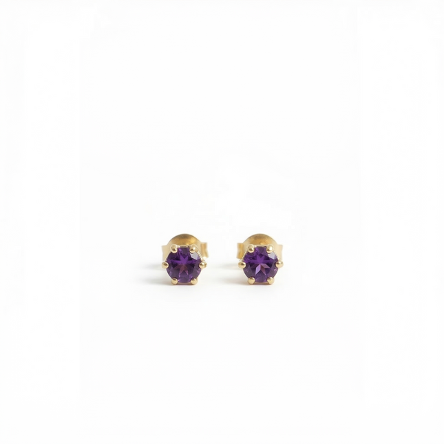 Petit Comité Oorknopjes Geboortesteen Februari Amethist