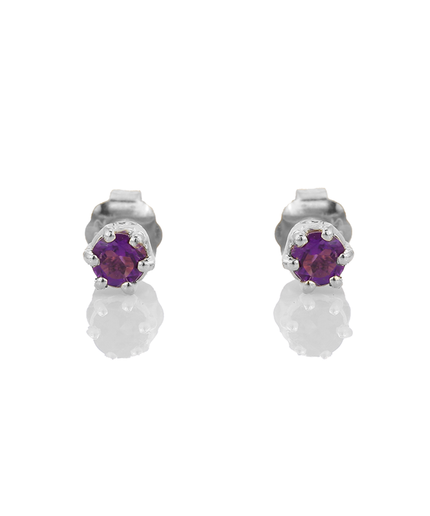 Petit Comité Oorknopjes Geboortesteen Februari Amethist