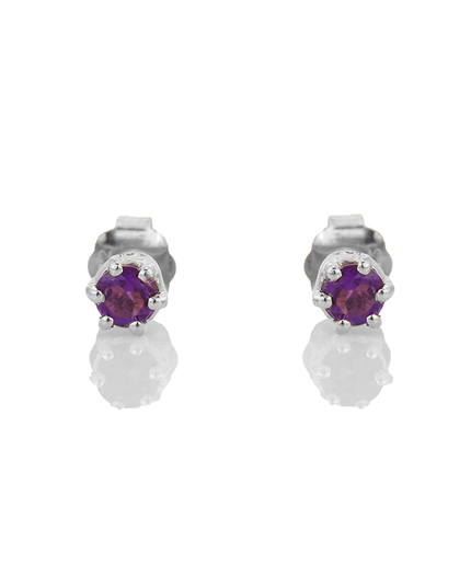 Petit Comité Oorknopjes Geboortesteen Februari Amethist