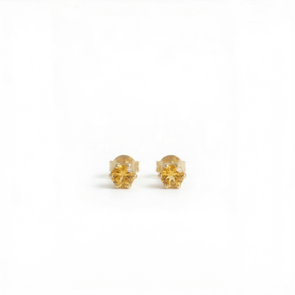 Petit Comité Oorknopjes Geboortesteen November Citrien