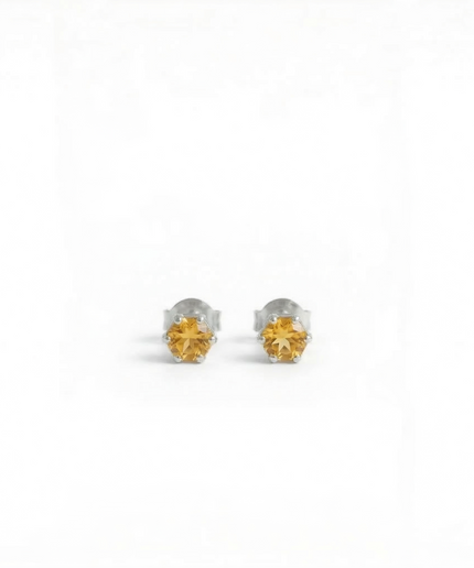 Petit Comité Oorknopjes Geboortesteen November Citrien