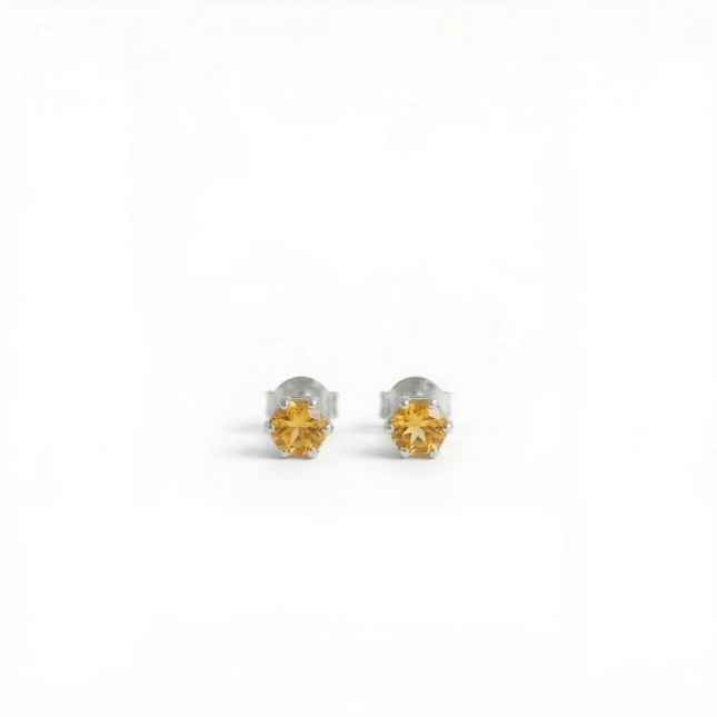 Petit Comité Oorknopjes Geboortesteen November Citrien